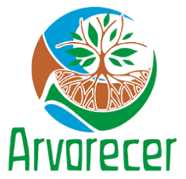 Arvorecer